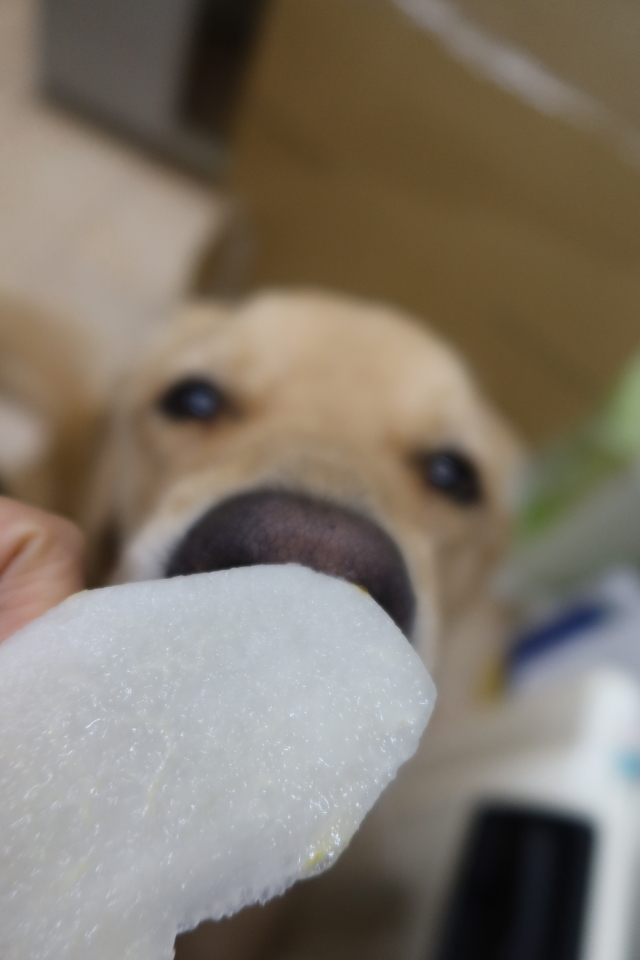 ファイル 8122-3.jpg