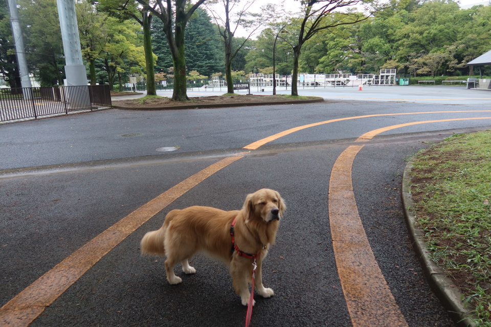 ファイル 8122-4.jpg