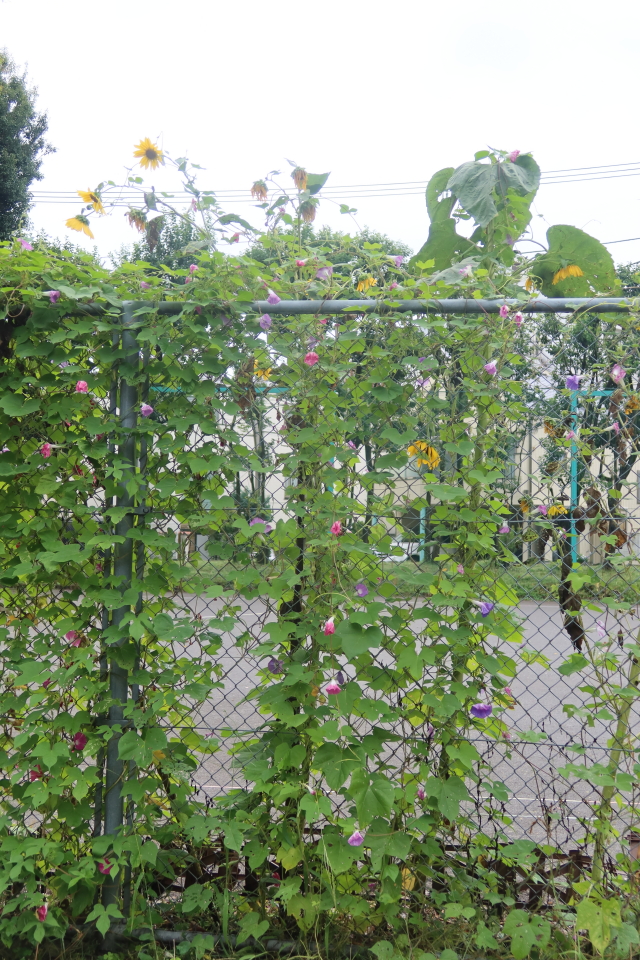 ファイル 8122-5.jpg