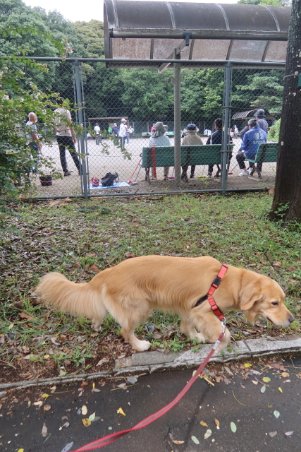 ファイル 8124-1.jpg