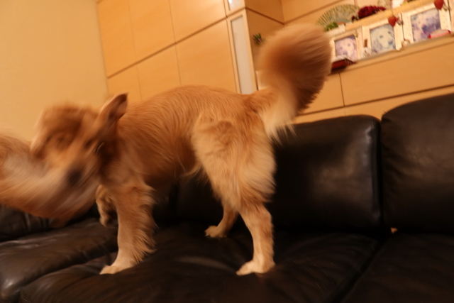 ファイル 8125-4.jpg