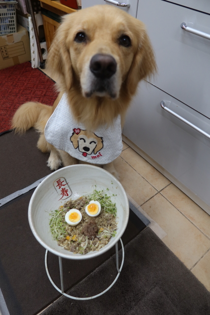 ファイル 8126-3.jpg