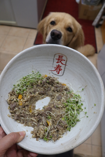 ファイル 8126-4.jpg