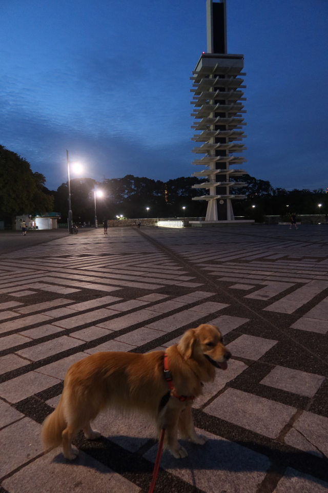 ファイル 8127-1.jpg