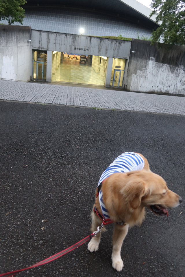 ファイル 8127-4.jpg