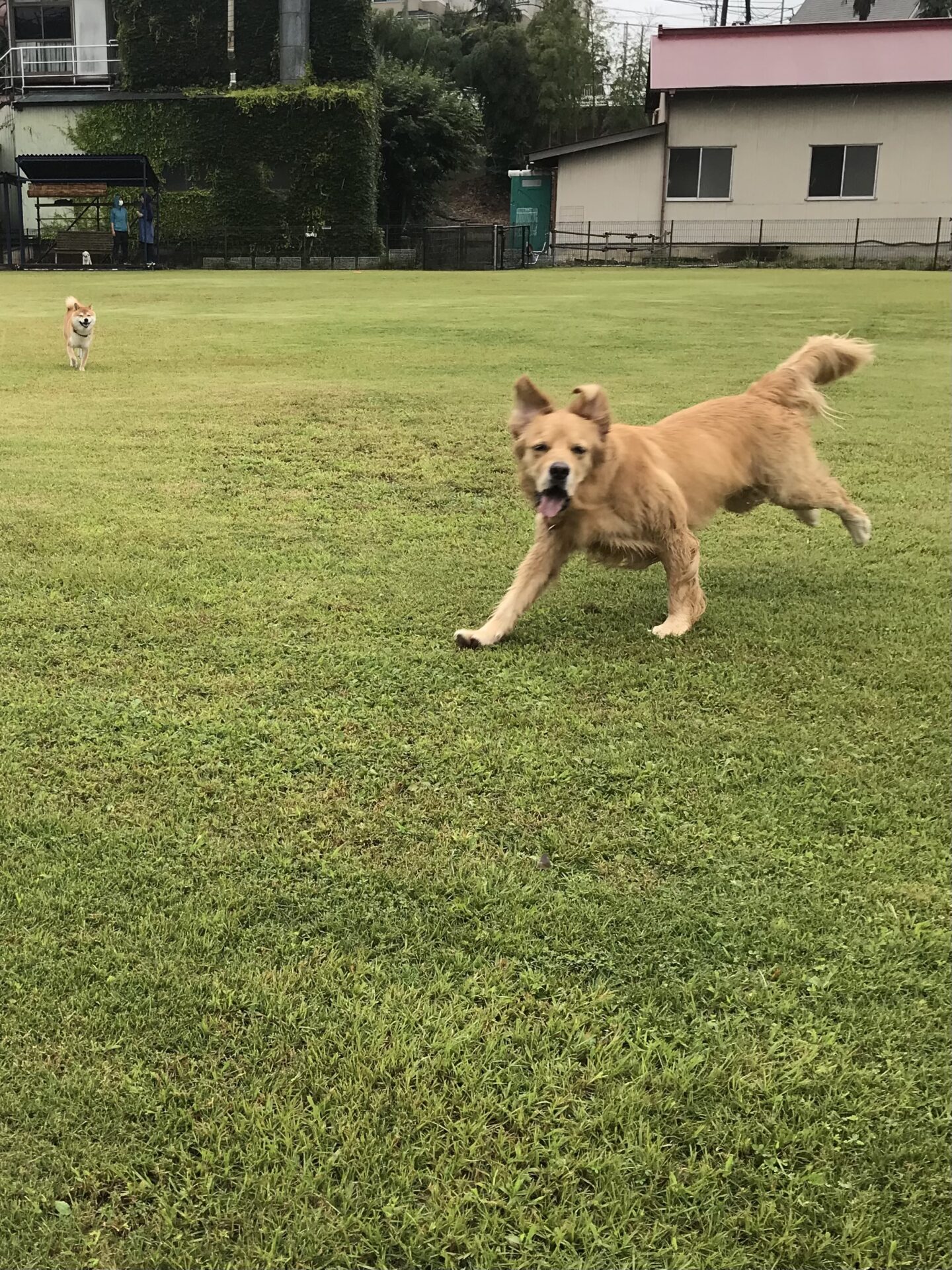 ファイル 8128-1.jpeg