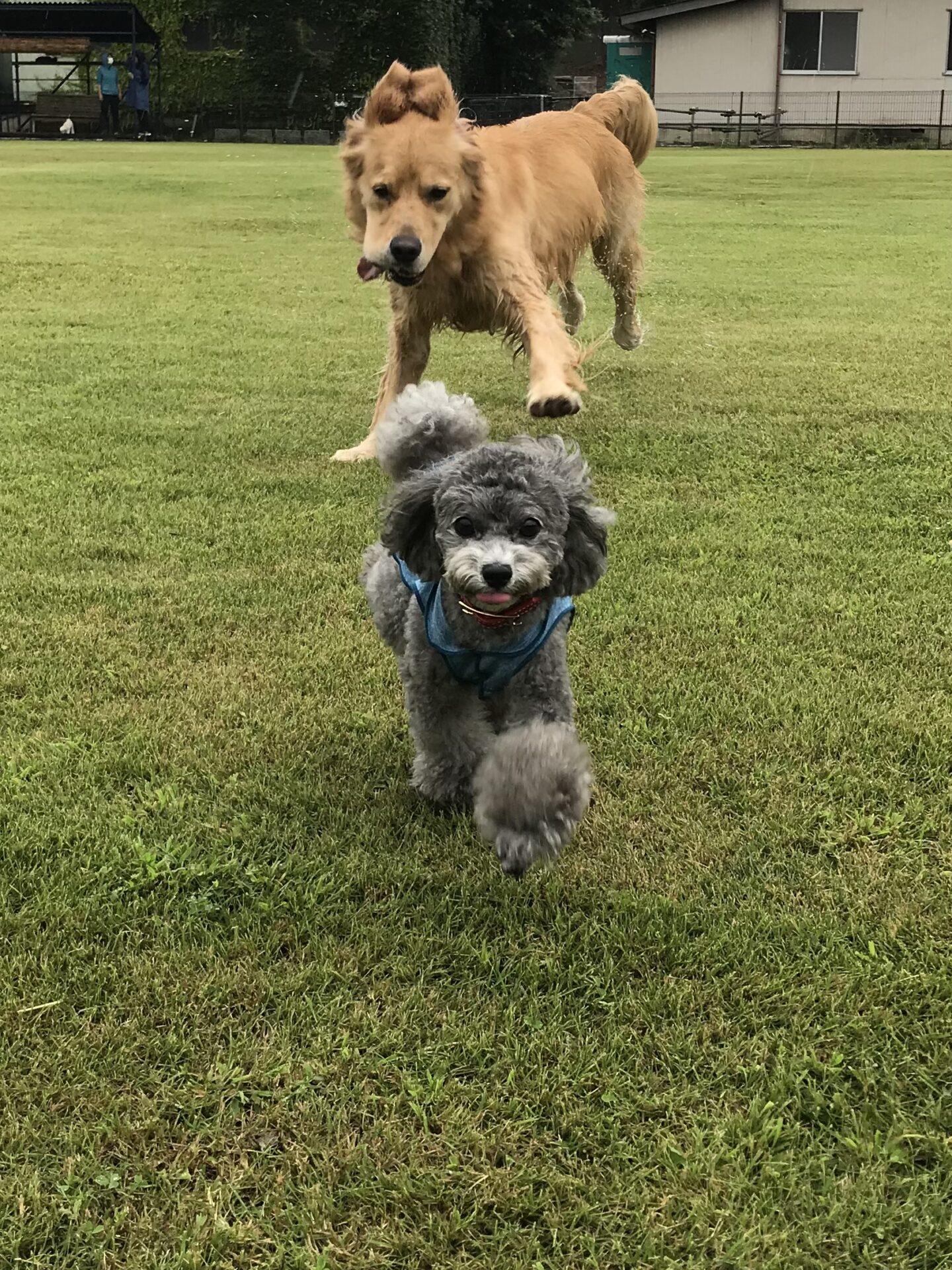 ファイル 8128-4.jpeg