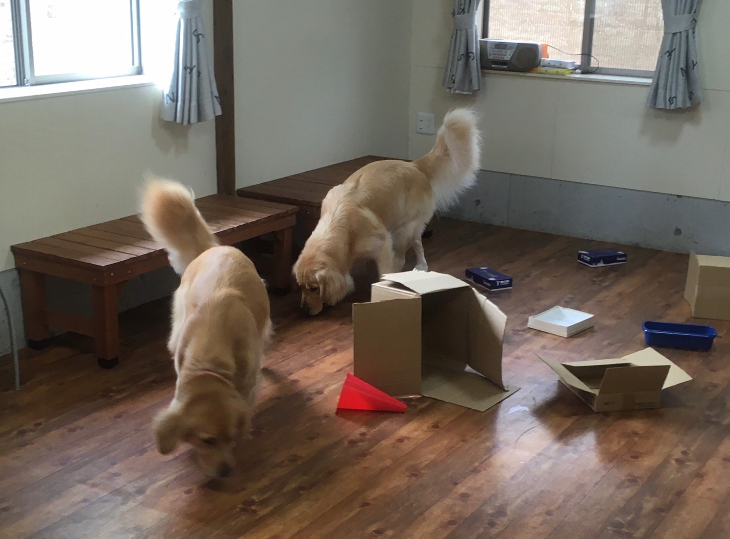 ファイル 8128-5.jpeg