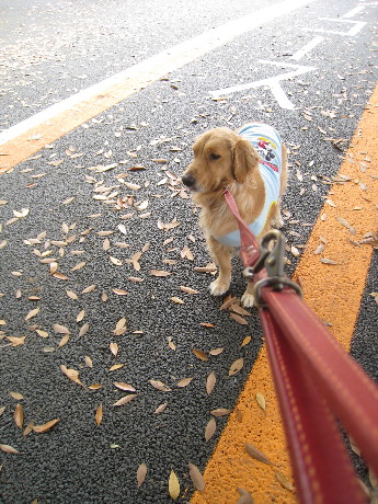 ファイル 813-3.jpg