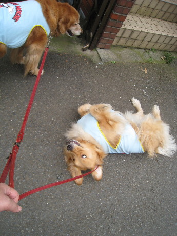 ファイル 813-4.jpg