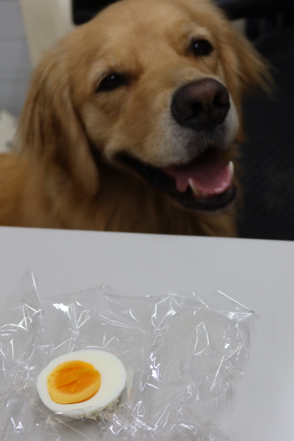 ファイル 8131-4.jpg