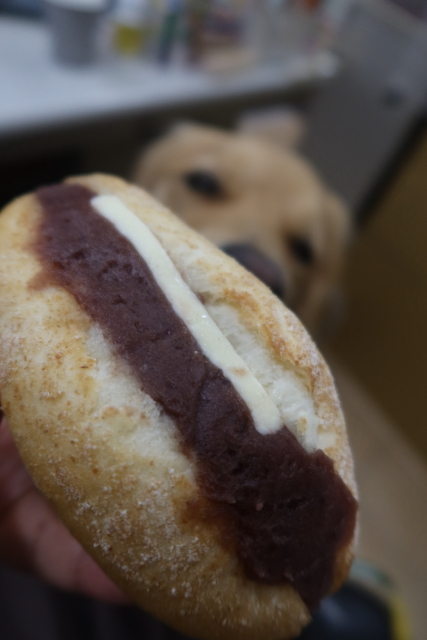 ファイル 8131-5.jpg