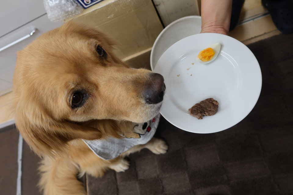 ファイル 8133-5.jpg