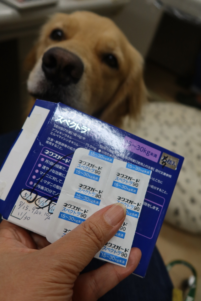 ファイル 8134-1.jpg