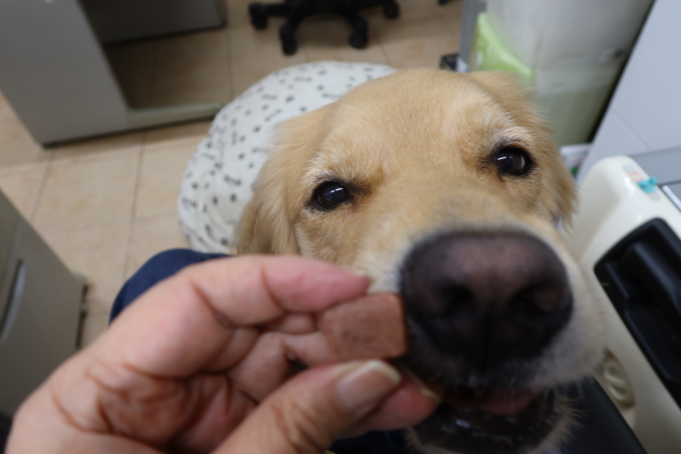 ファイル 8134-2.jpg