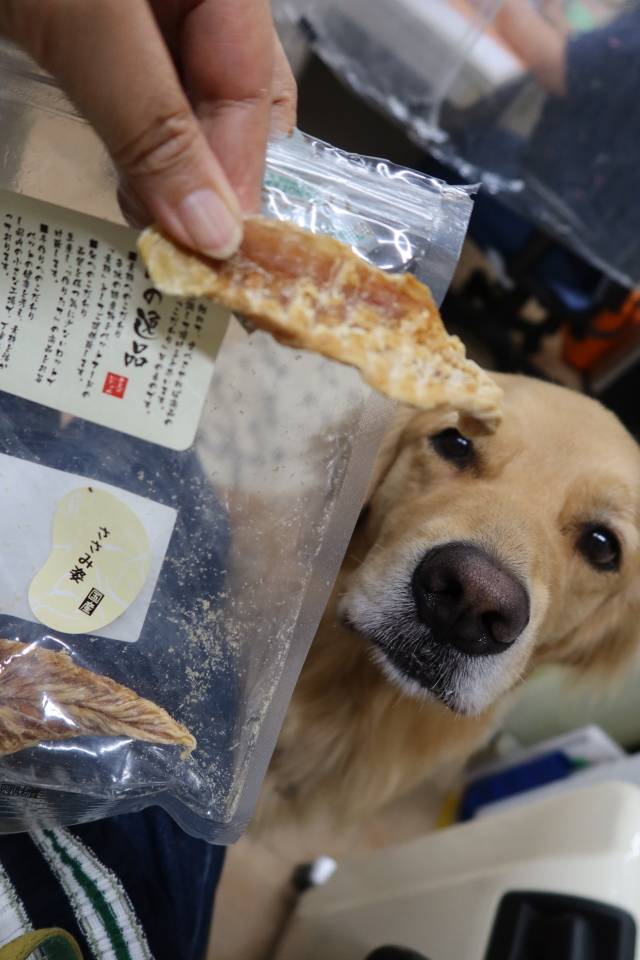 ファイル 8134-3.jpg