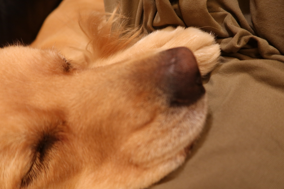 ファイル 8134-5.jpg