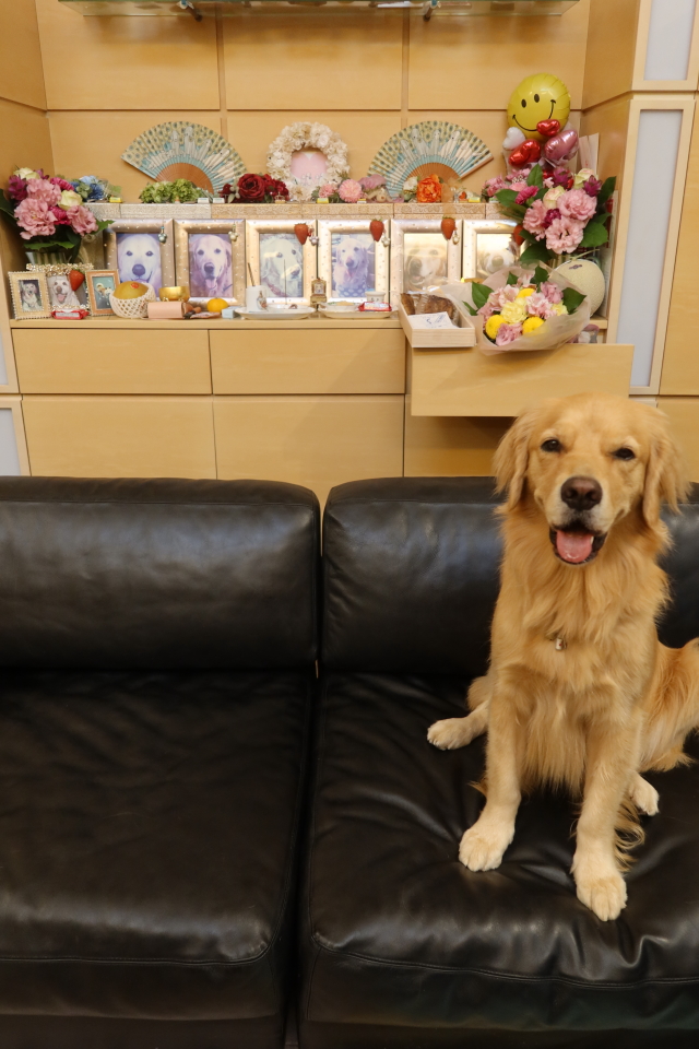 ファイル 8135-5.jpg