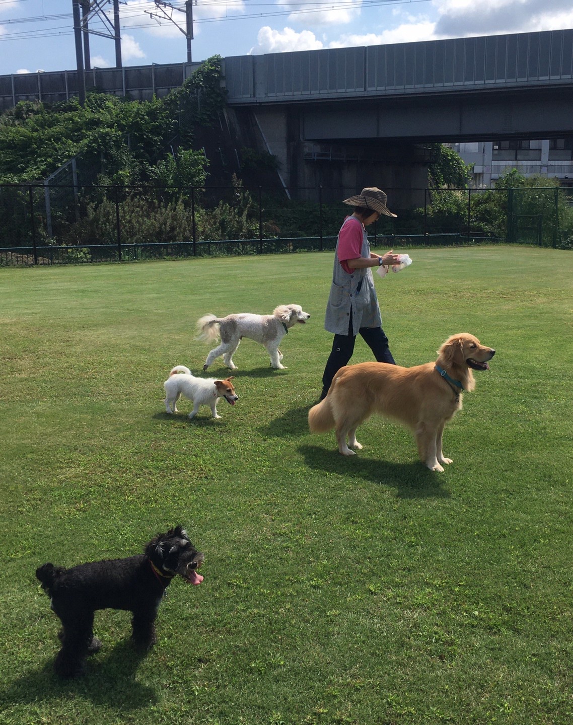 ファイル 8136-2.jpeg