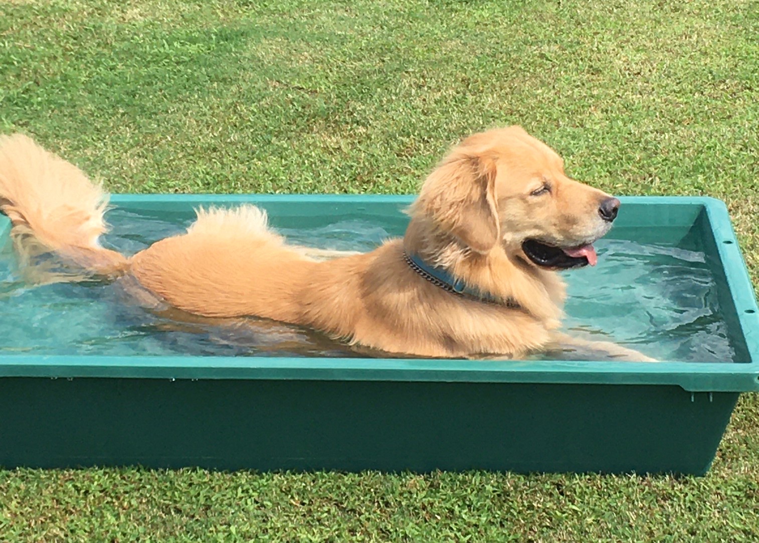 ファイル 8136-3.jpeg