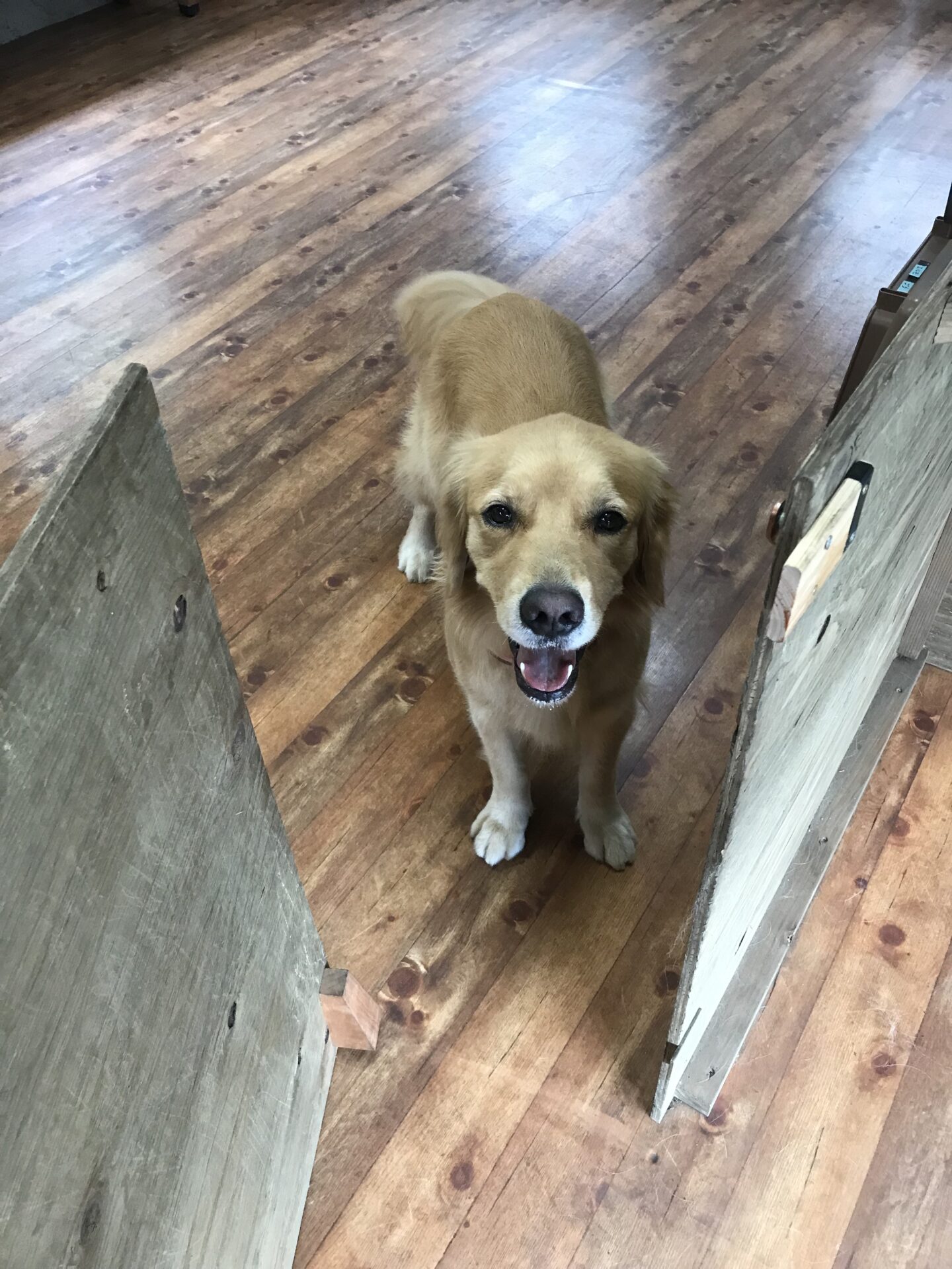 ファイル 8136-4.jpeg