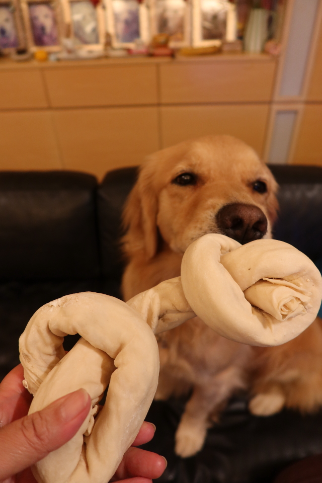 ファイル 8137-2.jpg