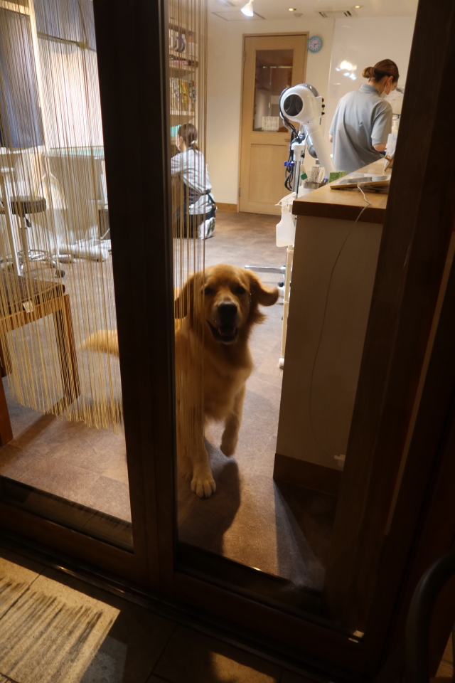 ファイル 8137-5.jpg