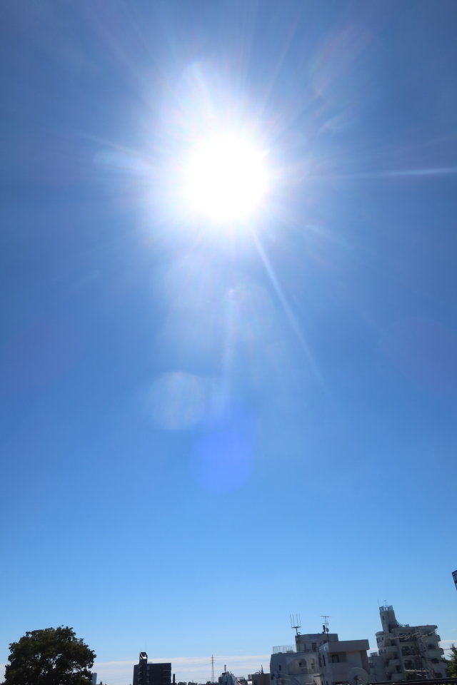 ファイル 8138-1.jpg