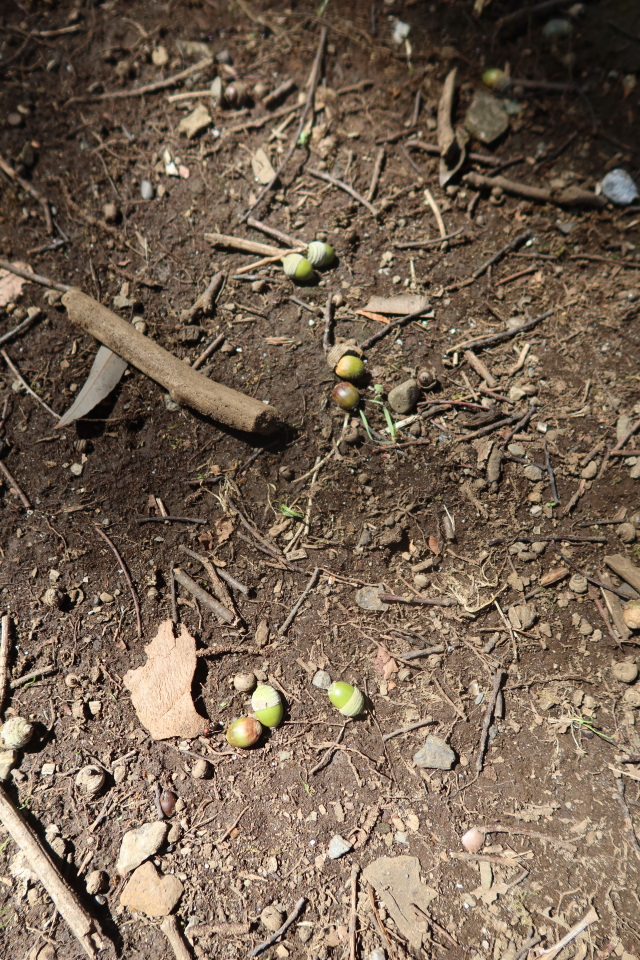 ファイル 8138-2.jpg