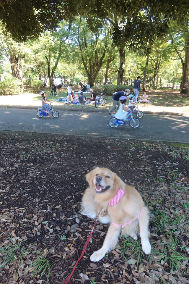 ファイル 8138-3.jpg