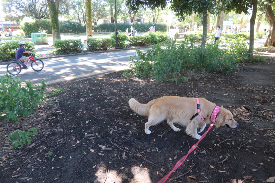 ファイル 8138-4.jpg