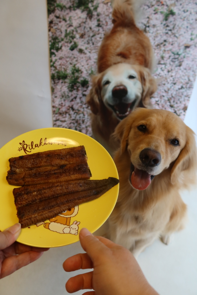 ファイル 8139-3.jpg