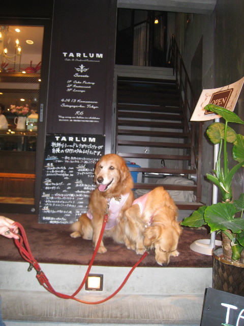 ファイル 814-2.jpg