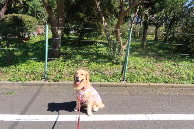 ファイル 8140-1.jpg