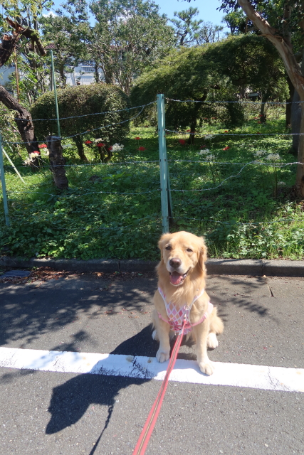 ファイル 8140-2.jpg