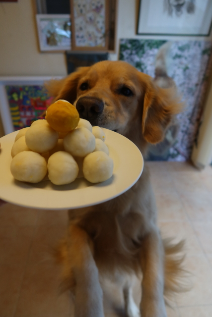 ファイル 8141-1.jpg