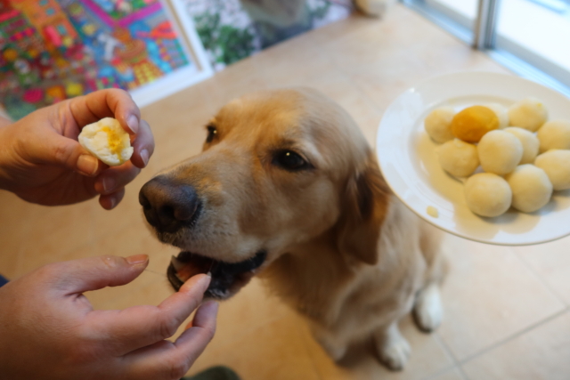 ファイル 8141-3.jpg