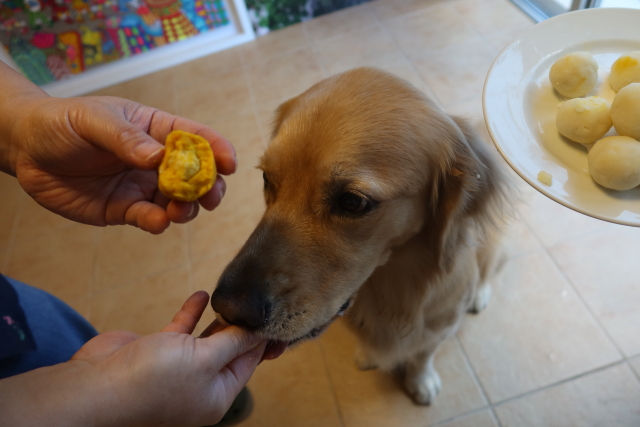 ファイル 8141-4.jpg