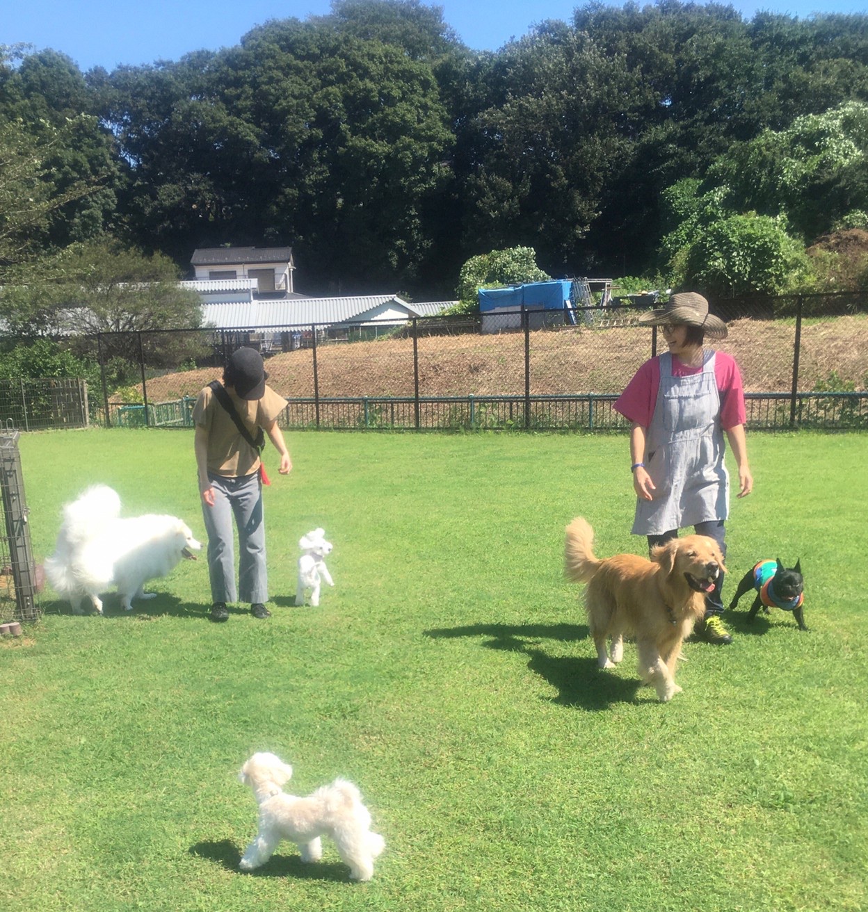 ファイル 8143-1.jpeg