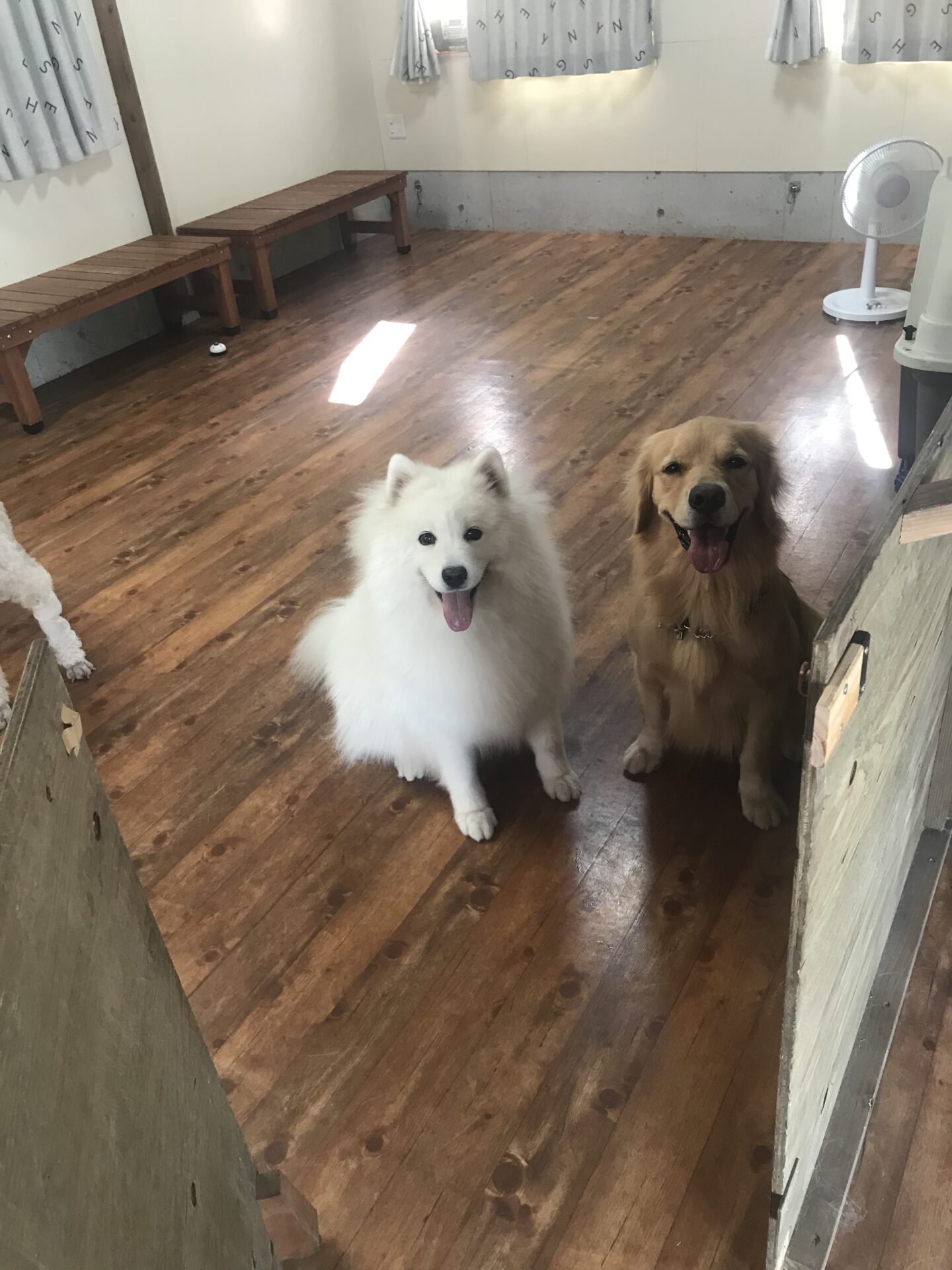 ファイル 8143-3.jpeg