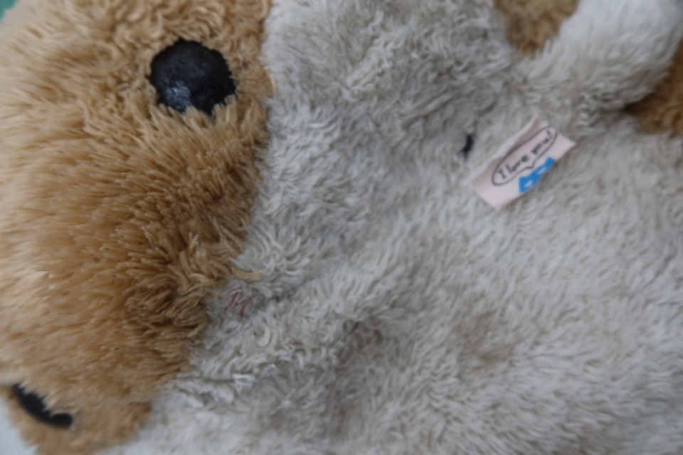 ファイル 8144-5.jpg