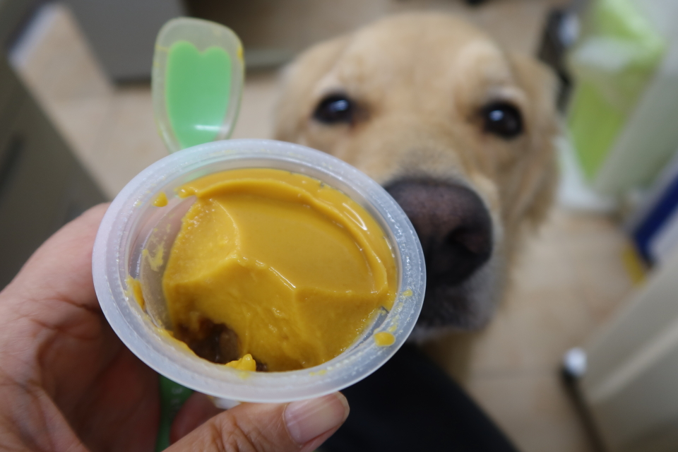 ファイル 8145-3.jpg