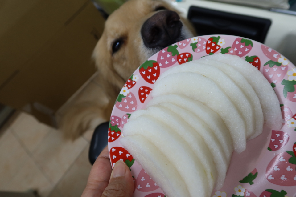 ファイル 8145-5.jpg