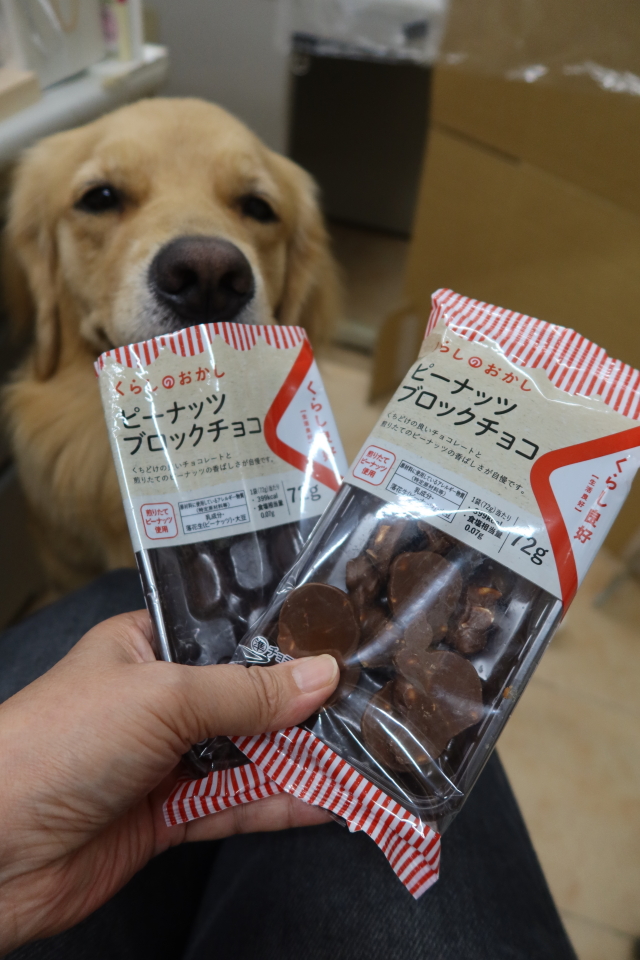 ファイル 8146-1.jpg