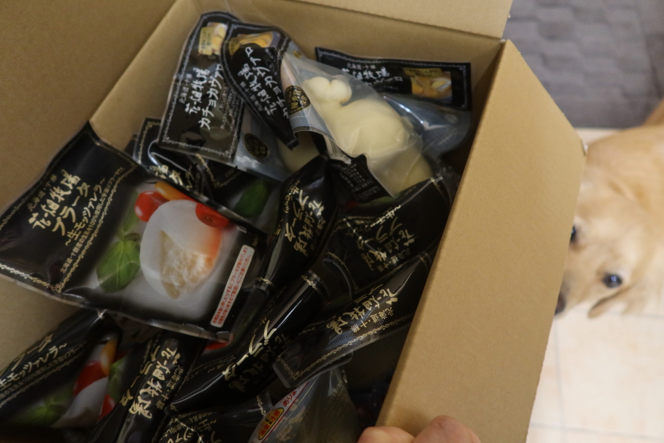 ファイル 8146-2.jpg