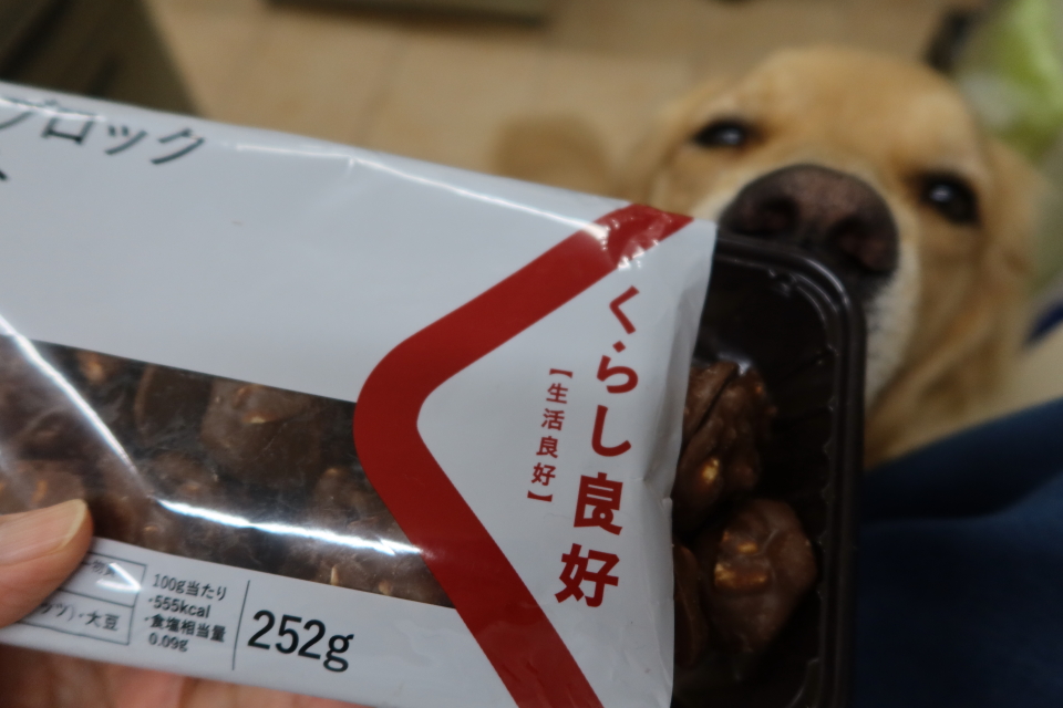 ファイル 8146-3.jpg