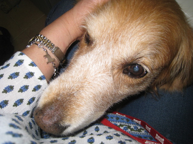 ファイル 815-1.jpg