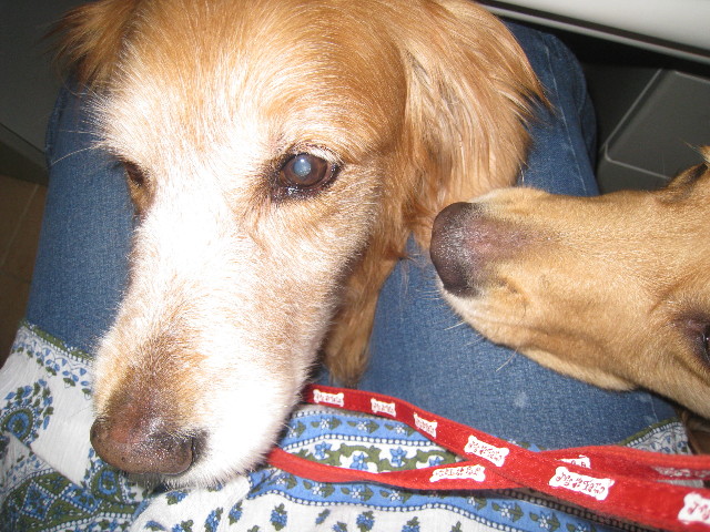 ファイル 815-2.jpg