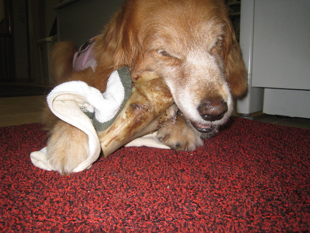 ファイル 815-3.jpg