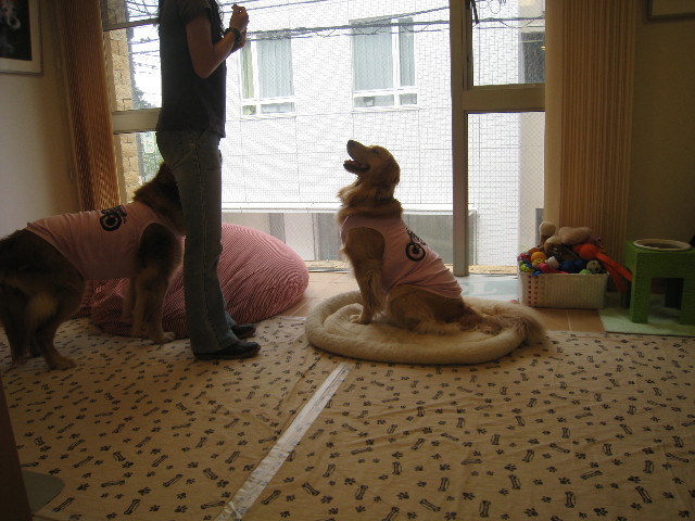 ファイル 815-4.jpg